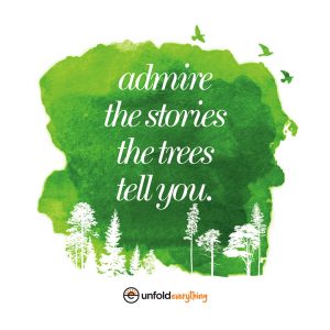 Admire The Stories - Desk Quote Artwork