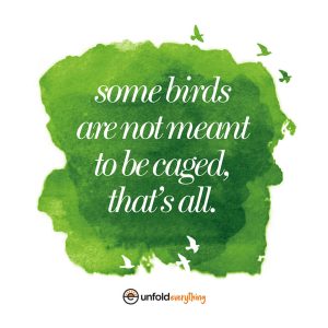 Some Birds Are - Individual Framed Wall Poster